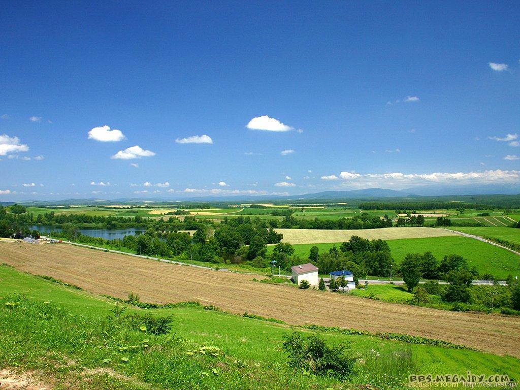 1-5]身临其境的乡间田野 激动社区,陪你一起慢