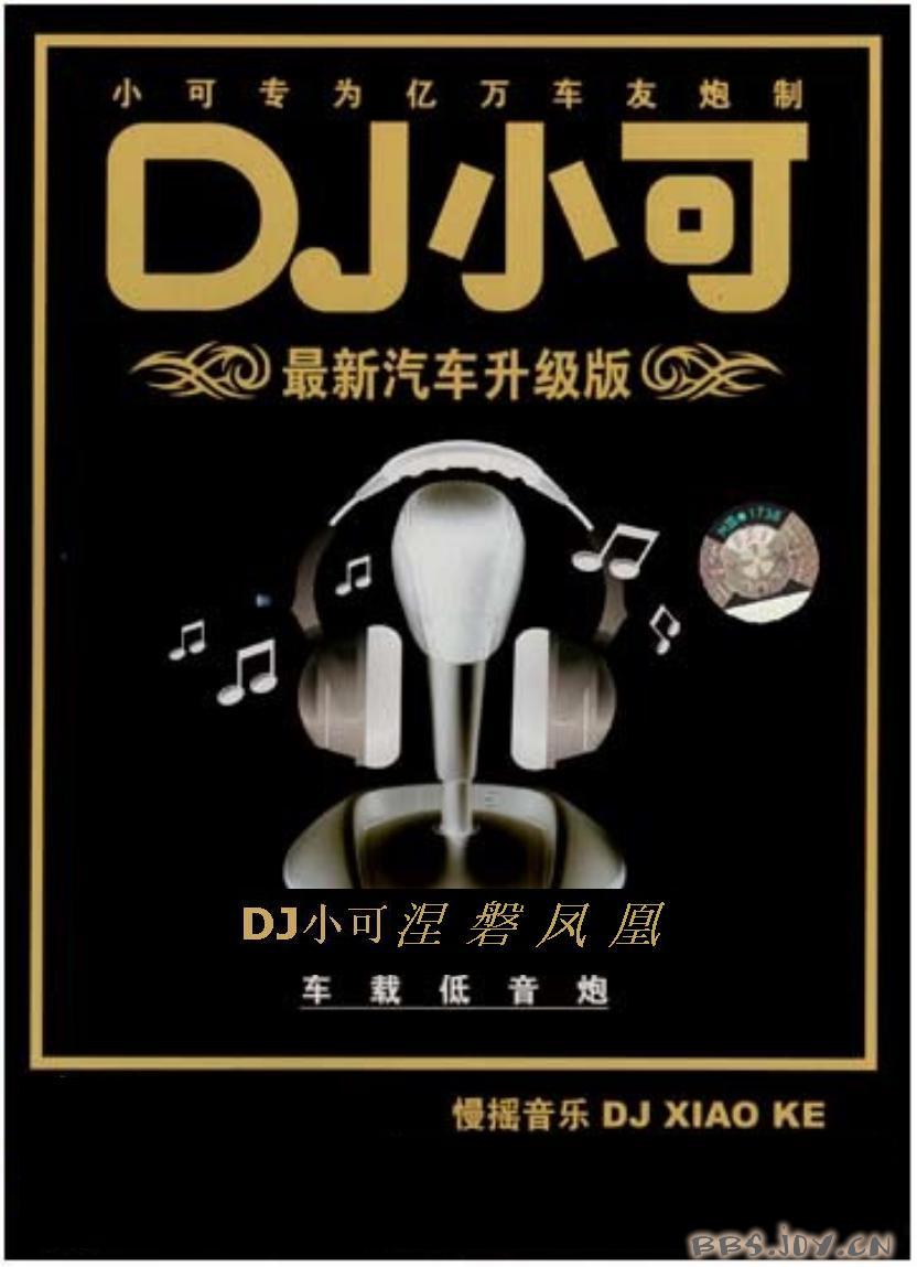 21102008dj小可涅磐凤凰车系低音炮