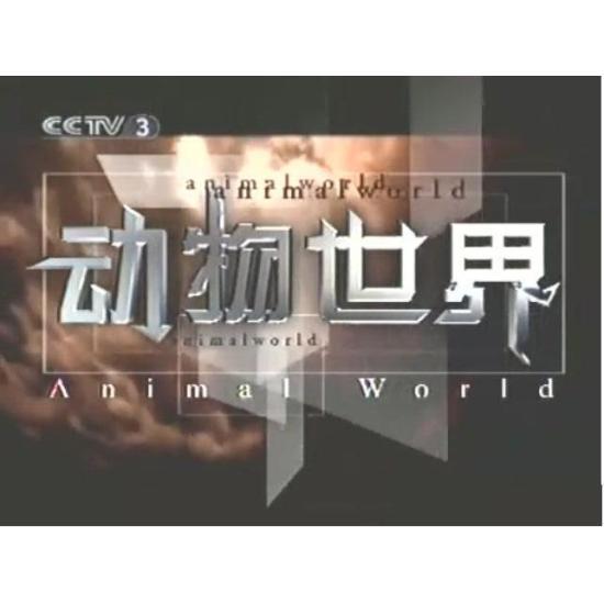 激动社区，陪你一起慢慢变老! 【cctv 动物世界片头曲】法国space乐队《just blue》 archiver